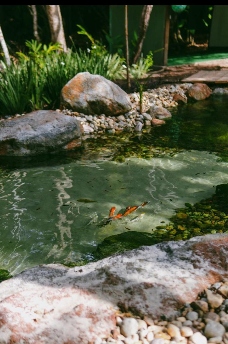 Boa Village- Bungalow Com Piscina Natural- Praia De Algodoes มาเรา ภายนอก รูปภาพ
